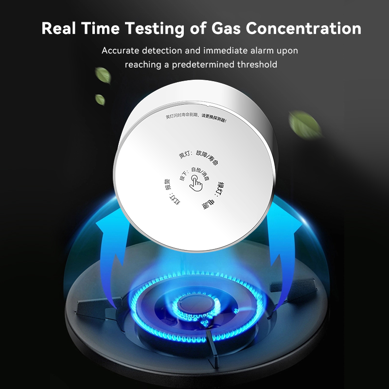 Meian Zigbee Gas Detektor Tuya – Smart Home Kitchen Bewertung und Preis