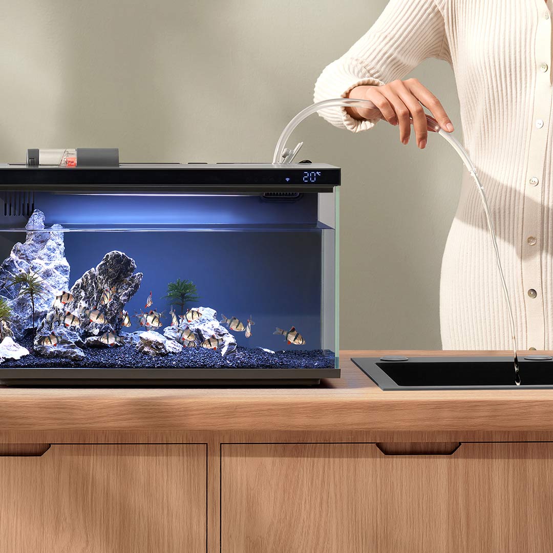 Xiaomi Mijia Smart Fish Tank M – Smart Home Xiaomi Kit Bewertung und Preis